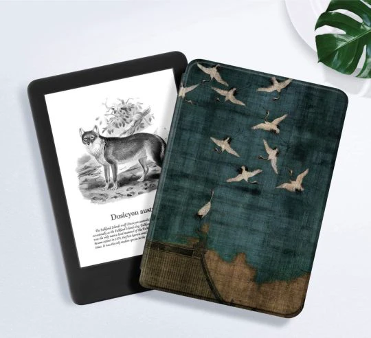 High-quality print Amazon Kindle cover